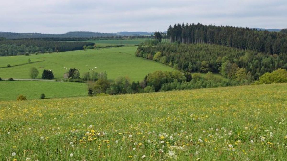 В прошлом году в Казахстане было изъято 5,2 млн га неиспользуемых земель